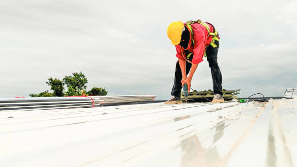 Best Sheet Metal Roofing  in Prairie Du Sac, WI